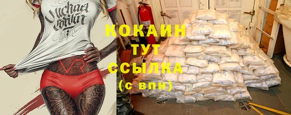сатива Горнозаводск