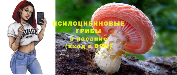 a pvp Горняк
